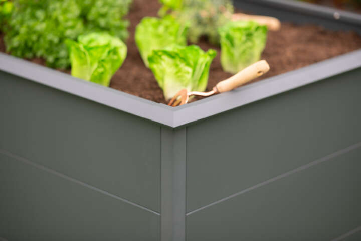 WESTMANN Hochbeet Primus